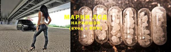 крисы Беломорск