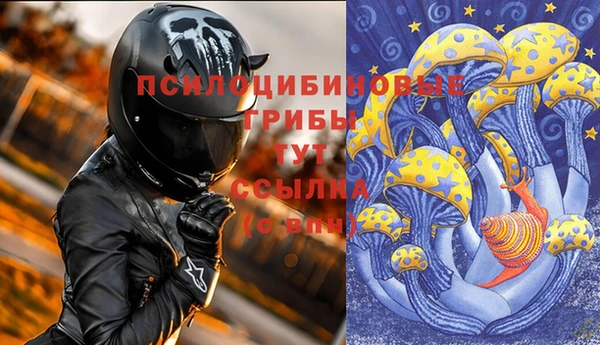 COCAINE Белокуриха