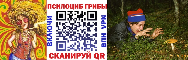 площадка Telegram Губкинский Галлюциногенные грибы Magic Shrooms